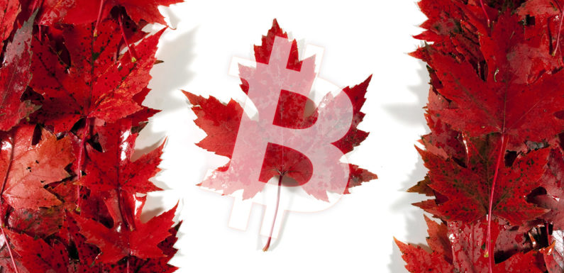 A Bank of Canada report says that 58% of Canadians use Bitcoin for investment purposes